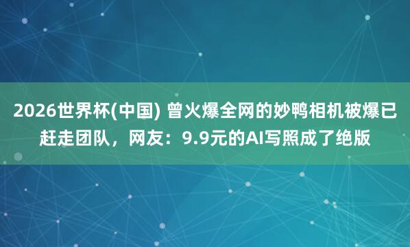 2026世界杯(中国) 曾火爆全网的妙鸭相机被爆已赶走团队，网友：9.9元的AI写照成了绝版