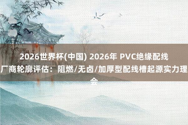 2026世界杯(中国) 2026年 PVC绝缘配线槽厂商轮廓评估：阻燃/无卤/加厚型配线槽起源实力理会