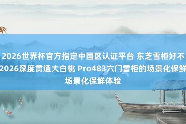 2026世界杯官方指定中国区认证平台 东芝雪柜好不好？2026深度贯通大白桃 Pro483六门雪柜的场景化保鲜体验