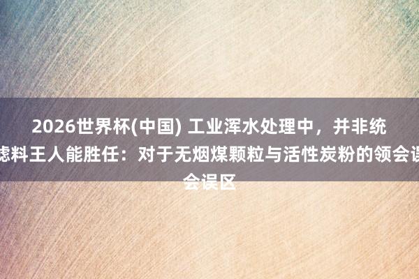 2026世界杯(中国) 工业浑水处理中，并非统统滤料王人能胜任：对于无烟煤颗粒与活性炭粉的领会误区