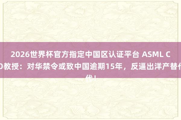 2026世界杯官方指定中国区认证平台 ASML CEO教授：对华禁令或致中国逾期15年，反逼出洋产替代！