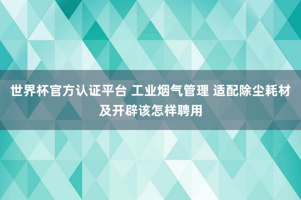 世界杯官方认证平台 工业烟气管理 适配除尘耗材及开辟该怎样聘用