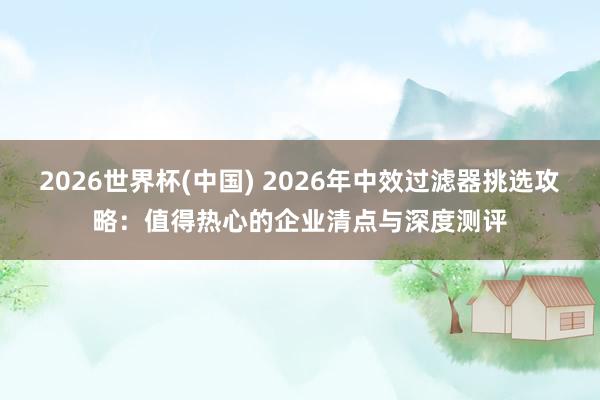 2026世界杯(中国) 2026年中效过滤器挑选攻略：值得热心的企业清点与深度测评