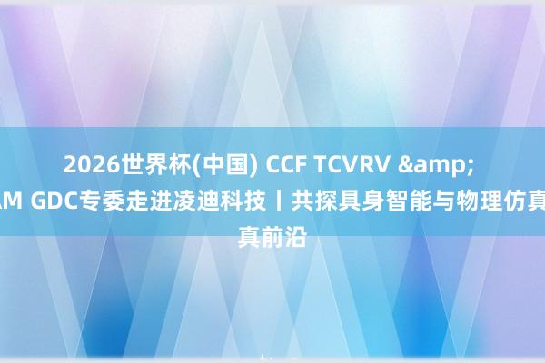 2026世界杯(中国) CCF TCVRV & CSIAM GDC专委走进凌迪科技丨共探具身智能与物理仿真前沿