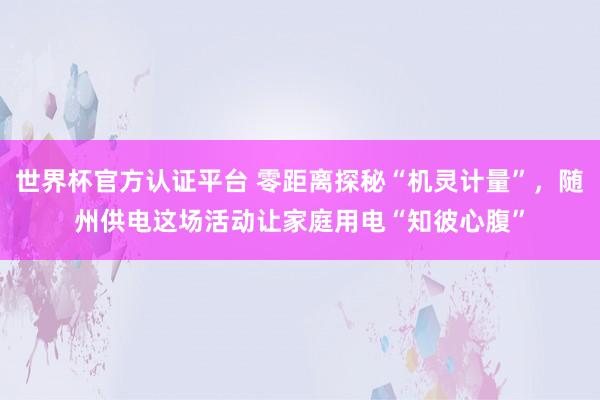 世界杯官方认证平台 零距离探秘“机灵计量”，随州供电这场活动让家庭用电“知彼心腹”