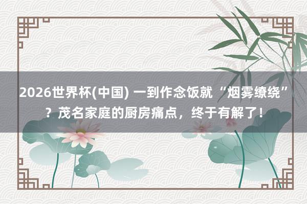 2026世界杯(中国) 一到作念饭就 “烟雾缭绕”？茂名家庭的厨房痛点，终于有解了！