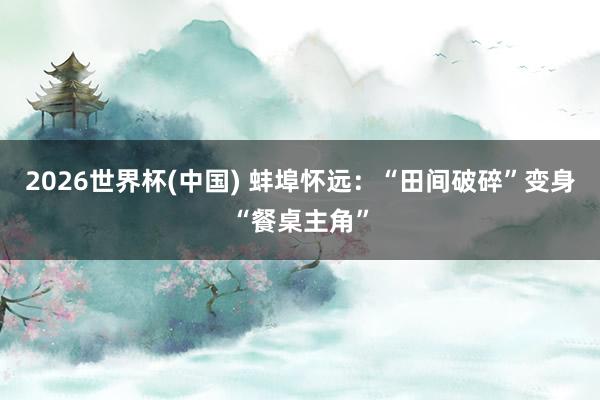 2026世界杯(中国) 蚌埠怀远：“田间破碎”变身“餐桌主角”