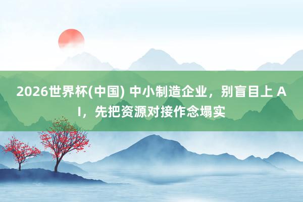 2026世界杯(中国) 中小制造企业，别盲目上 AI，先把资源对接作念塌实