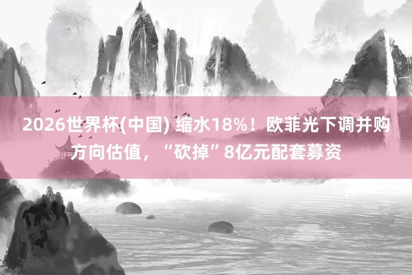 2026世界杯(中国) 缩水18%！欧菲光下调并购方向估值，“砍掉”8亿元配套募资