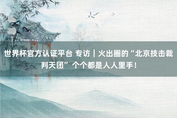 世界杯官方认证平台 专访︱火出圈的“北京技击裁判天团” 个个都是人人里手！