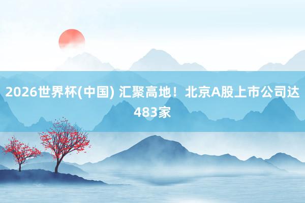 2026世界杯(中国) 汇聚高地！北京A股上市公司达483家