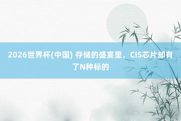 2026世界杯(中国) 存储的盛宴里，CIS芯片却有了N种标的