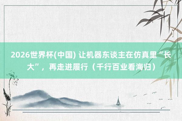 2026世界杯(中国) 让机器东谈主在仿真里“长大”，再走进履行（千行百业看海归）