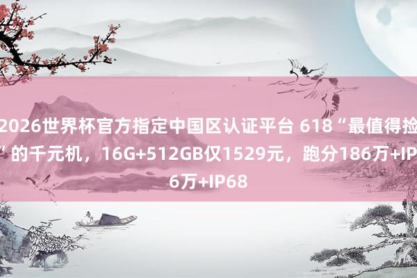 2026世界杯官方指定中国区认证平台 618“最值得捡漏”的千元机，16G+512GB仅1529元，跑分186万+IP68