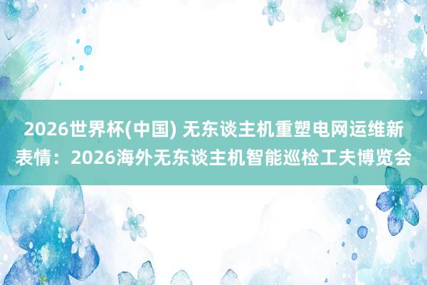 2026世界杯(中国) 无东谈主机重塑电网运维新表情：2026海外无东谈主机智能巡检工夫博览会