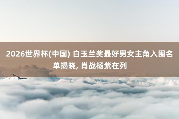 2026世界杯(中国) 白玉兰奖最好男女主角入围名单揭晓，<a href=