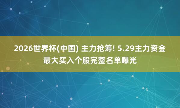 2026世界杯(中国) 主力抢筹! 5.29主力资金最大买入个股完整名单曝光