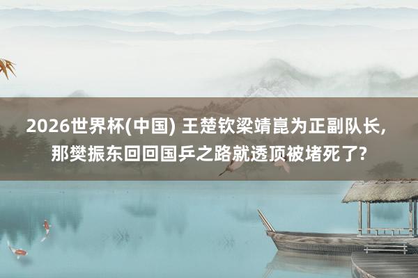 2026世界杯(中国) 王楚钦梁靖崑为正副队长, 那樊振东回