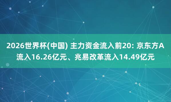 2026世界杯(中国) 主力资金流入前20: 京东方A流入1