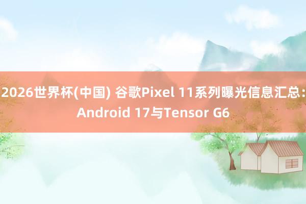 2026世界杯(中国) 谷歌Pixel 11系列曝光信息汇总：Android 17与Tensor G6