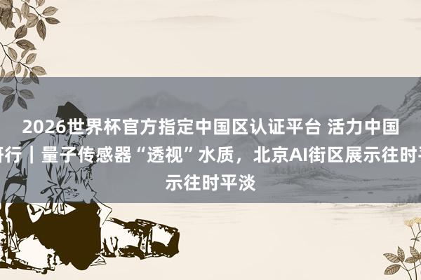 2026世界杯官方指定中国区认证平台 活力中国调研行|量子传感器“透视”水质,北京AI街区展示往时平淡