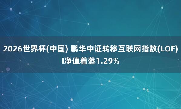 2026世界杯(中国) 鹏华中证转移互联网指数(LOF)I净值着落1.29%