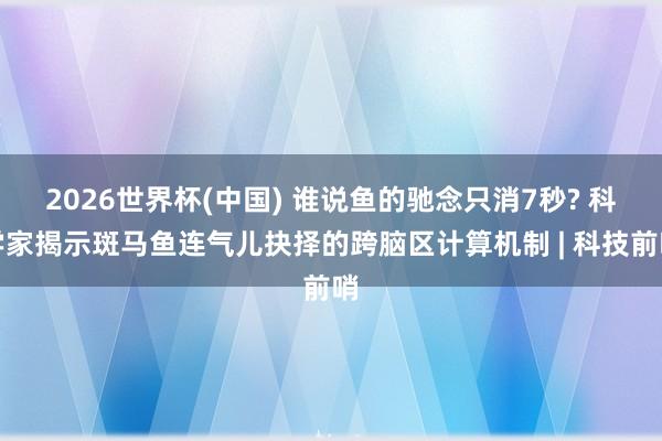 2026世界杯(中国) 谁说鱼的驰念只消7秒? 科学家揭示斑马鱼连气儿抉择的跨脑区计算机制 | 科技前哨