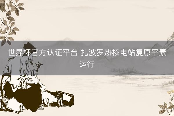 世界杯官方认证平台 扎波罗热核电站复原平素运行