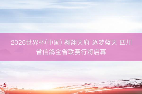 2026世界杯(中国) 翱翔天府 逐梦蓝天 四川省信鸽全省联赛行将启幕