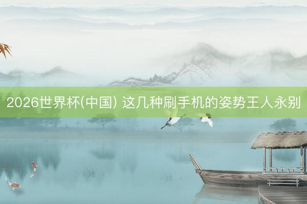 2026世界杯(中国) 这几种刷手机的姿势王人永别