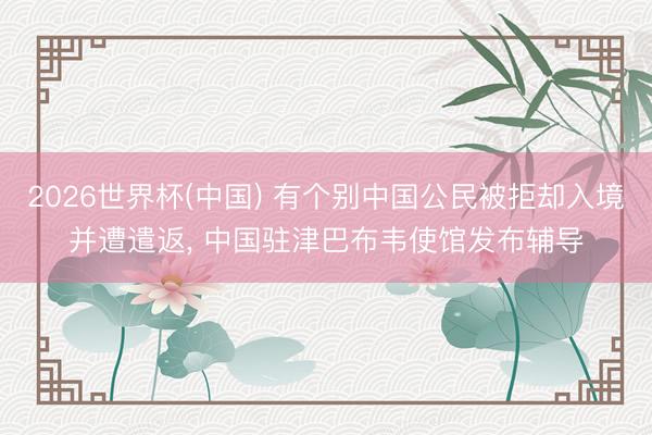 2026世界杯(中国) 有个别中国公民被拒却入境并遭遣返, 中国驻津巴布韦使馆发布辅导
